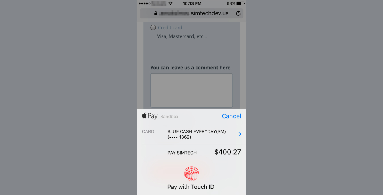 Apple Pay