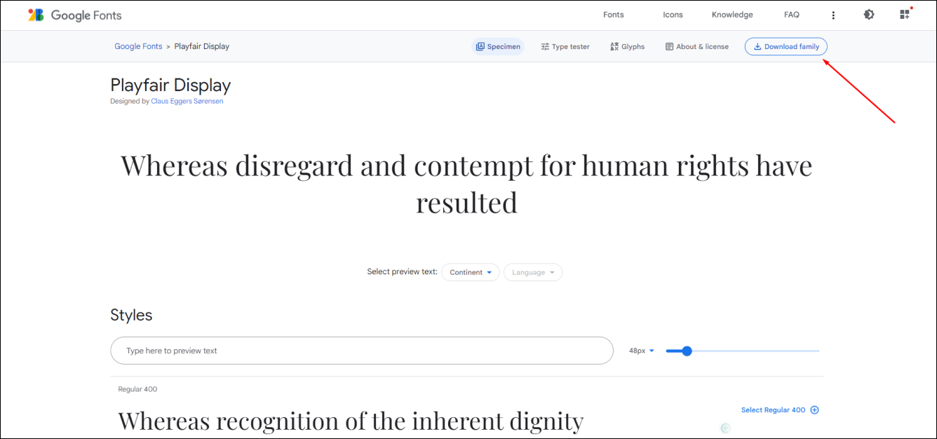Google Download Font Family