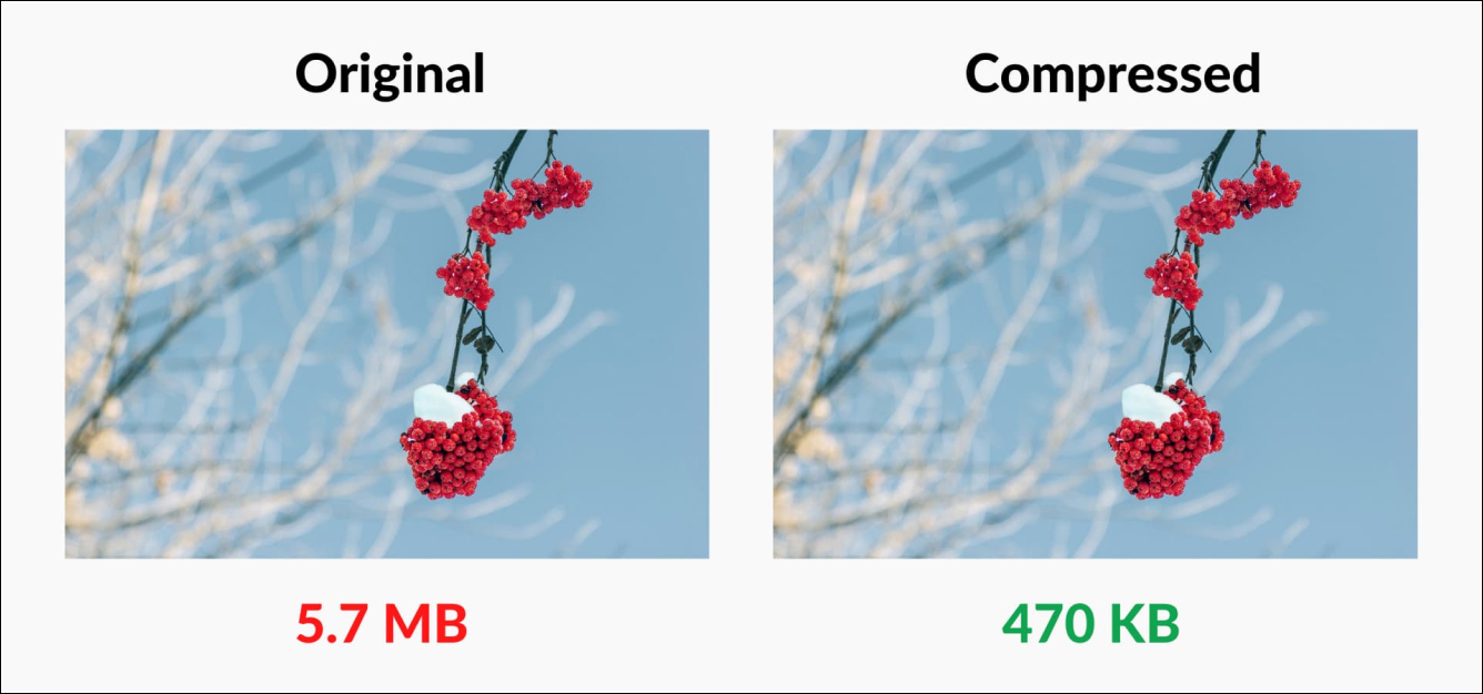 Shopify Compressed Images